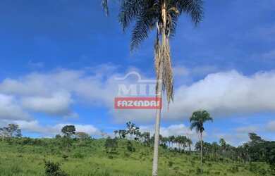 Imagem: A fazenda está localizado em Campinaçu, GO à venda por R$22.950.000