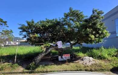 Imagem 1: Vendo Terreno medindo 382 m², em frente ao Campo do Paissandu FC, Aririú,...