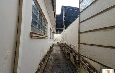 Imagem 11: Casa térrea na rua 3 dormitórios, cozinha planejada