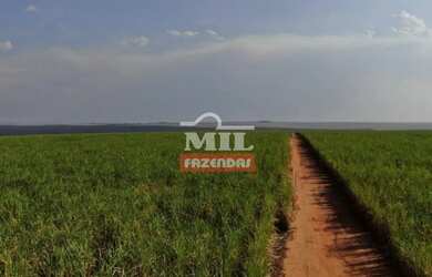 Imagem: A fazenda possui 1.835m² de Área e está localizado em Divino