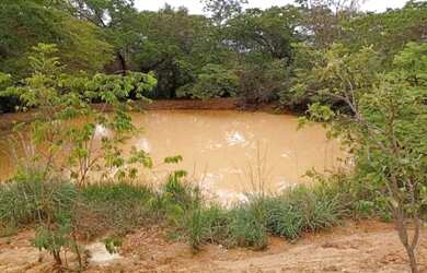 Imagem: A fazenda está localizado em Glaucilândia, MG à venda por
