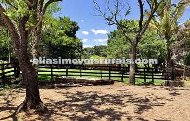 Imagem: A fazenda está localizado em Área Rural de Uberlândia, Uberlândia