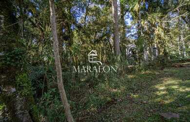 Imagem 3: TERRENO À VENDA EM CANELA NO CONDOMÍNIO PINHEIRO GROSSO