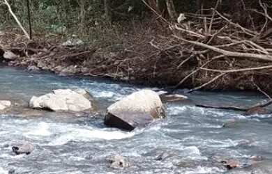 Imagem 11: Oportunidade dos sonhos Sítio em Canela