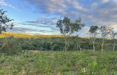 Imagem 13: Fazenda no norte de Minas Gerais