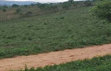 Imagem 3: FAZENDA EM BOA VISTA DO TUPIM - 6000 TAREFAS