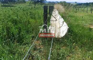 Imagem 9: Fazenda 103 Alqueires 500 Hectares Piracanjuba - GO