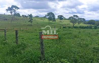 Imagem 11: Fazenda 103 Alqueires 500 Hectares Piracanjuba - GO