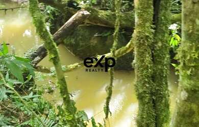 Imagem: Chácara à Venda em Agudos do Sul - PR