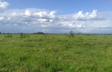 Imagem 12: 2.100 hectares a 8 mil reais o hectare com 70 de abertura em pasto