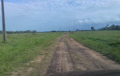 Imagem 15: 2.100 hectares a 8 mil reais o hectare com 70 de abertura em pasto