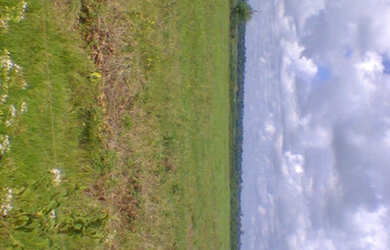 Imagem 5: 2.100 hectares a 8 mil reais o hectare com 70 de abertura em pasto