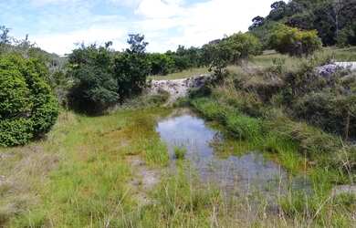 Imagem 4: Terreno Área à venda, Zona Rural - Pirambu/SE