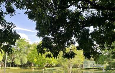 Imagem 5: Belíssima Chácara a Venda em Bragança Paulista
