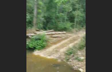 Imagem 11: VENDO FAZENDA 1200 hec BRUTA REGIÃO DE AMAJARI RORAIMA 6100