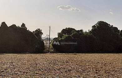 Imagem 4: Fazenda à venda, 968000 m² por R$ 13.500.000,00 - Zona Rural - Rio Verde/GO