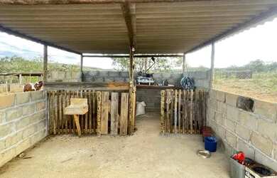 Imagem 8: Fazenda no norte de Minas Gerais