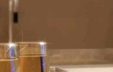 Imagem 10: SEU NOVO LAR EM BELÉM: ATHENAS FUTURE LIVING