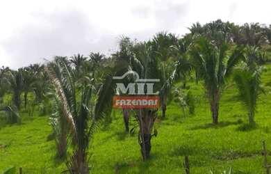 Imagem 2: Fazenda 337 Alqueires 1.638 Hectares Niquelandia - Go