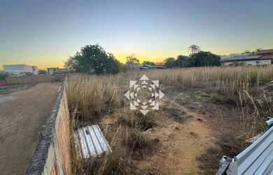 Imagem 9: Terreno à venda, 1272 m² - Loteamento Residencial Polinésia - Palmas/TO