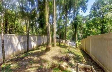 Imagem 6: Terreno para venda com 620 m², murado bairro Estados - Fazenda Rio Grande/PR...
