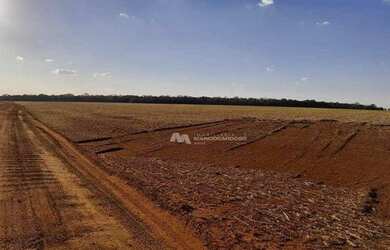 Imagem 3: Fazenda à venda, 968000 m² por R$ 13.500.000,00 - Zona Rural - Rio Verde/GO