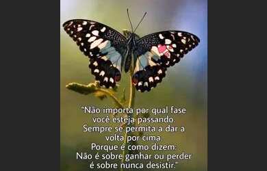 Imagem: A casa possui 1 Dormitório, 1 Banheiro, 52m² de Área e está