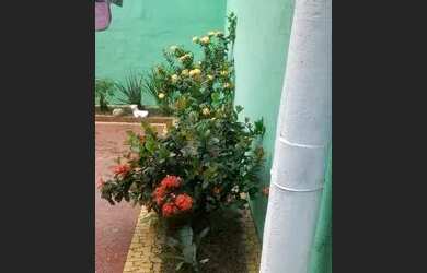 Imagem 10: 368 Excelente casa no Bairro Vermelho São Gonçalo