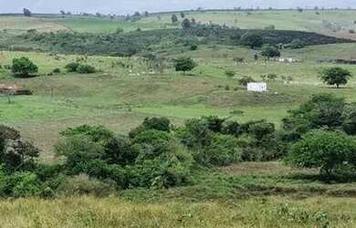 Imagem 3: - Fazenda Em Umbauba. 1.891.000m² de Área