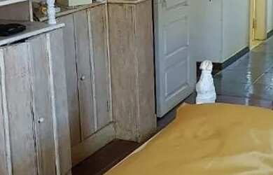 Imagem 12: Casa tipo chácara em Vera Cruz Miguel Pereira RJ