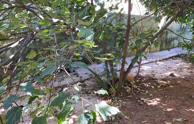 Imagem 4: Terreno em Americana. 324m² de Área