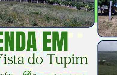 Imagem 1: FAZENDA EM BOA VISTA DO TUPIM - 6000 TAREFAS