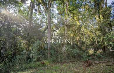 Imagem 2: TERRENO À VENDA EM CANELA NO CONDOMÍNIO PINHEIRO GROSSO