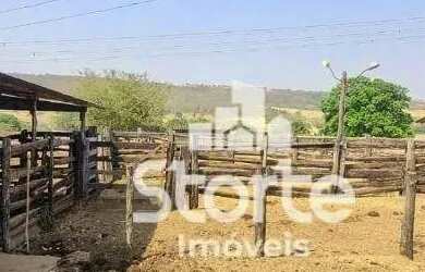 Imagem 7: Fazenda à venda com 135 hectares 28 alqueires por R$ 4.480.000 - 31km...