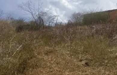 Imagem: O terreno e está localizado em Carira, SE à venda por R$22.000