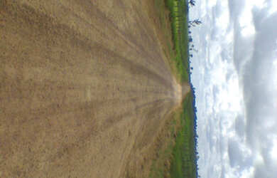 Imagem 3: 2.100 hectares a 8 mil reais o hectare com 70 de abertura em pasto