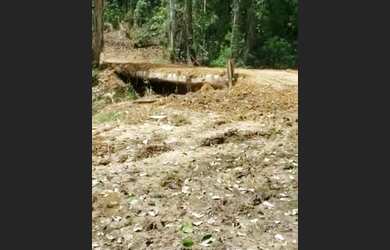 Imagem 8: VENDO FAZENDA 1200 hec BRUTA REGIÃO DE AMAJARI RORAIMA 6100