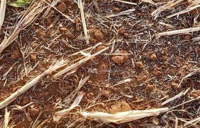 Imagem 12: Fazenda à venda, 968000 m² por R$ 13.500.000,00 - Zona Rural - Rio Verde/GO