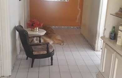 Imagem 14: PRAIA GRANDE - Casa Padrão - BALNEARIO FLORIDA