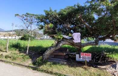 Imagem 4: Vendo Terreno medindo 382 m², em frente ao Campo do Paissandu FC, Aririú,...