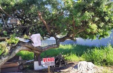 Imagem 2: Vendo Terreno medindo 382 m², em frente ao Campo do Paissandu FC, Aririú,...