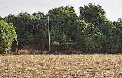 Imagem 6: Fazenda à venda, 968000 m² por R$ 13.500.000,00 - Zona Rural - Rio Verde/GO