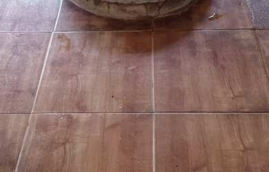 Imagem 10: casa. 2 Vagas na garageme3 Dormitórios