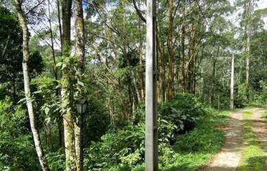 Imagem: O terreno possui 2500m² de Área e está localizado em Mosela