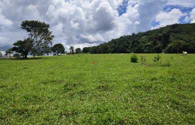 Imagem 2: Fazenda 80 alq. Em trindade 300 mil.p/ alq. Pega 40% aptos Goiânia 24 milhoes