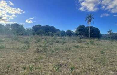 Imagem 2: Fazenda no norte de Minas Gerais