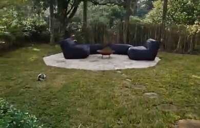 Imagem 6: Imóvel para aluguel com 350 metros quadrados com 4 quartos