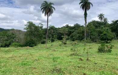 Imagem: A chácara está localizado em Jaboticatubas, MG à venda por