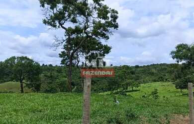 Imagem 6: Fazenda 103 Alqueires 500 Hectares Piracanjuba - GO