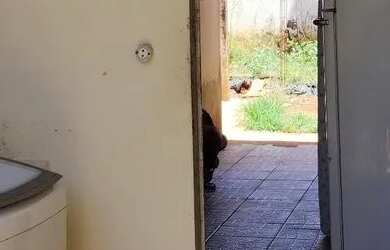 Imagem 7: Venda casa no Parque Atheneu